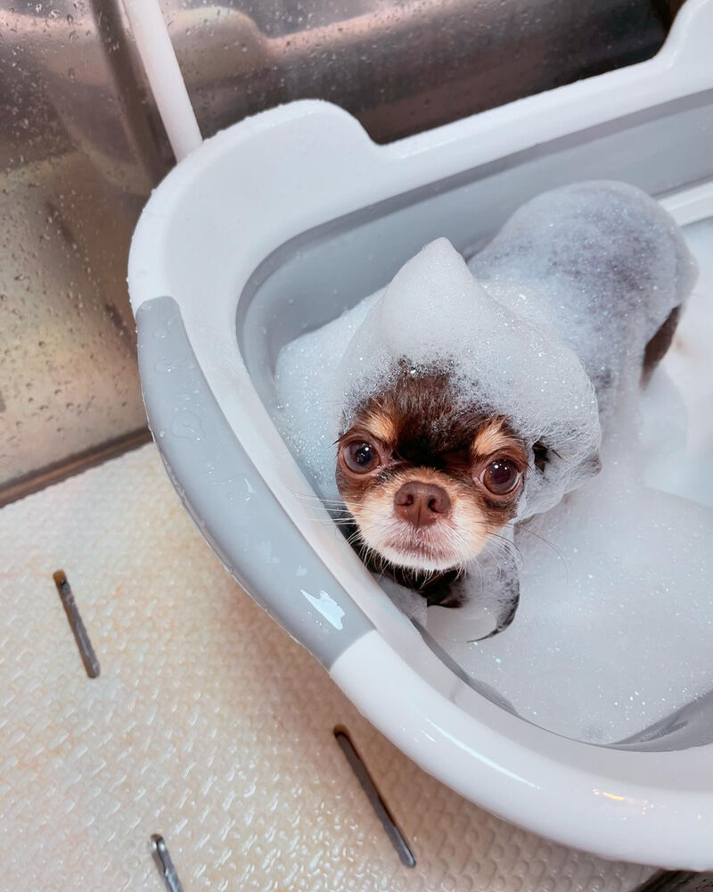 ブログ